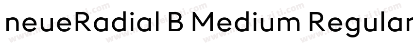 neueRadial B Medium Regular字体转换
